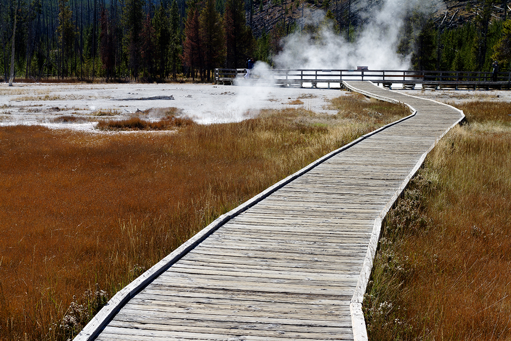 10-06 - 11.jpg - Yellowstone National Park, WY